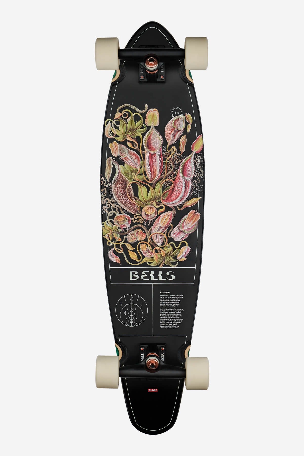 LONGBOARD BELLS PITCHER